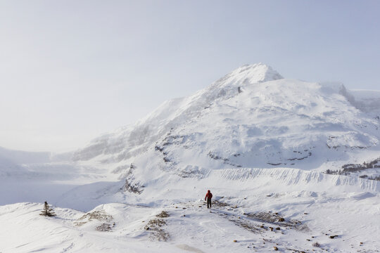 Columbia Ice Field