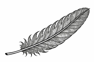 Intricate Feather Illustration-Detailed Black and White Feather Design-Elegant Feather Art-Feather with Swirls and Patterns-Unique Feather Graphic-Artistic Feather Image