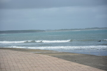 宮崎県　青島の海岸風景