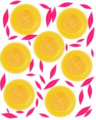 Yellow golden hydrangea flowers isolated on white background 