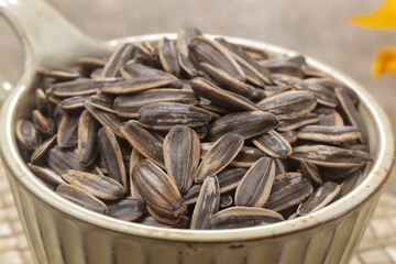 Biji matahari. Sunflower seeds are the fruit of the sunflower (Helianthus annuus). Sunflower oil
