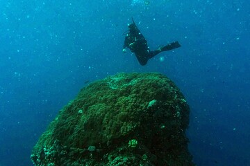 underwater view of scuba diver and coral reef