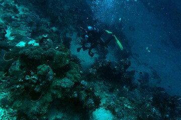 scuba diver and coral reef underwater scene