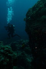 scuba diver and coral reef
