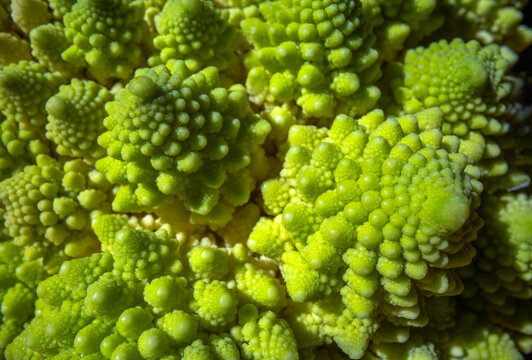  Fractal Pattern Of Romanesco Broccoli