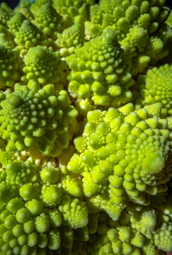 Romanesco Broccoli Close-Up Pattern