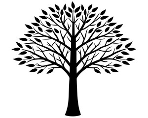 Obraz premium Birch tree vector silhouette illustration isolated on white background