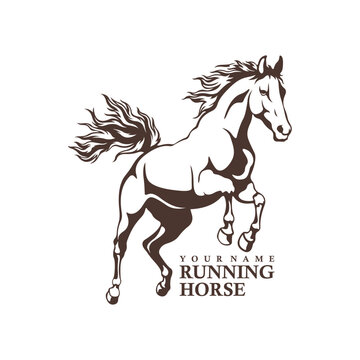 Running Horse logo design vector. Silhouette Horse Template Illustration. Icon Symbol