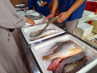 Fish Trader Selects Fresh Sea Fish on Ice in Busy Market