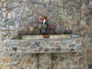 Rustic stone sink with a red faucet mounted on a pebble wall. Outdoor natural washbasin with...