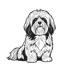 Vector illustration of a fluffy Lhasa Apso dog sitting, showcasing its long coat. Pet.