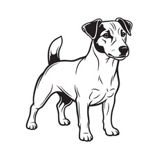 Vector illustration of a Jack Russell Terrier dog standing alert. Pet.