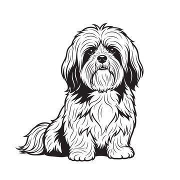 Vector illustration of a fluffy Lhasa Apso dog sitting, showcasing its long coat. Pet.