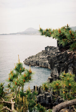 Volcanic rock coastline with hexagonal basalt columns
