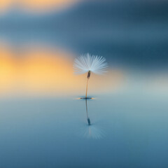 Delicate dandelion seed floating gently on serene reflective water at sunset in minimalist style