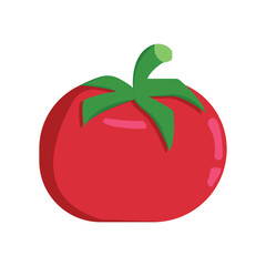 Tomato illustration isolated on a white background