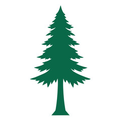 Cypress tree vector silhouette illustration isolated on white background