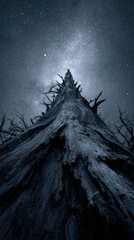 Ancient Tree Silhouette Under Night Sky with Stars and Galaxy