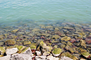 Water of Lake Balaton Close Up, Hungary