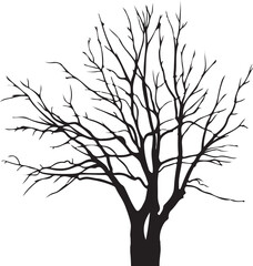 tree silhouette vector