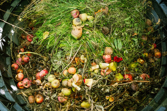 Compost pile with decomposing fruits and greens