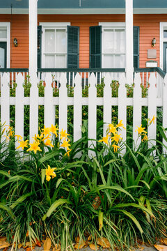 White Picket Fence Algiers Point, New Orleans
