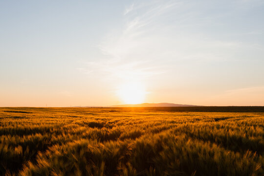 Sunset over the landscape