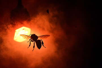 A dramatic silhouette of a bee hovering above a flickering refinery warning light symbolizing the intersection of nature