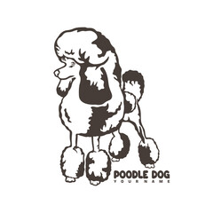 Poodle Dog logo design vector. Silhouette Poodle Dog Template Illustration. Icon Symbol