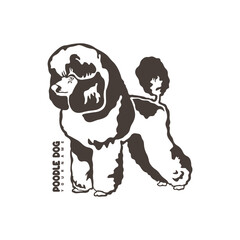 Poodle Dog logo design vector. Silhouette Poodle Dog Template Illustration. Icon Symbol