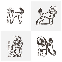 Set of Poodle Dog logo design vector. Silhouette Poodle Dog Template Illustration. Icon Symbol