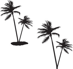 palm tree silhouette