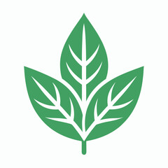 Green plant leaf nature ecology vector illustration symbol set