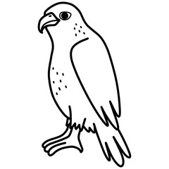 Hand drawn hawk cartoon illustration outline 