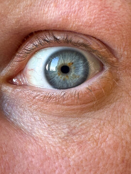 Blue human eye close up with visible iris detail