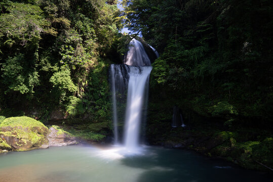 Serenity Falls &ndash; Gentle Waterfall in Lush Forest
