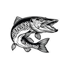 Fototapeta premium Pike Fish Vector, Aggressive Predator Pike Clipart, Northern Pike Illustration, Fishing T-Shirt Design, Black and White Pike Drawing