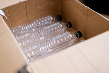 Arranged Plastic Bottles Inside Cardboard Box, Ready For Recycling Project