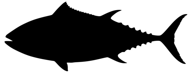 Vector Silhouette Of A Tuna Fish.