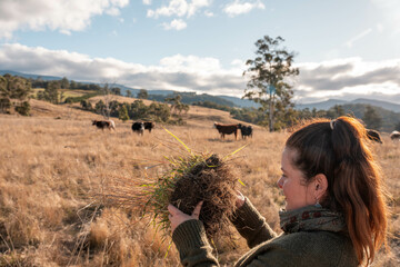 woman in agriculture looking at a soil sample. girl on a farm looking at plant roots