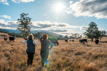 woman in agriculture looking at a soil sample. girl on a farm looking at plant roots