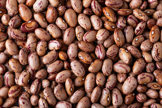 Whole borlotti beans background