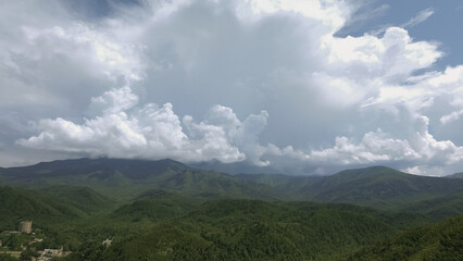 Asheville is a magic place