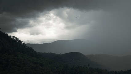 Asheville is a magic place