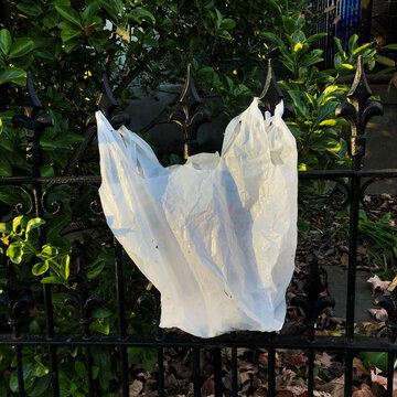 Plastic Bag on Iron Fence