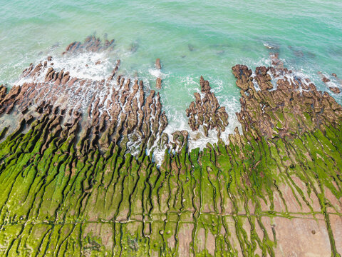 Spring Algae Blankets Parallel Rocky Coastal Formations