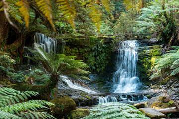 tourist hiking in a national park, taking a photo and looking at a waterfall in a forest in...