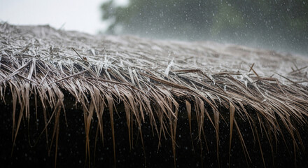 Detailed thatch roof texture.