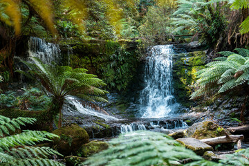 tourist hiking in a national park, taking a photo and looking at a waterfall in a forest in...