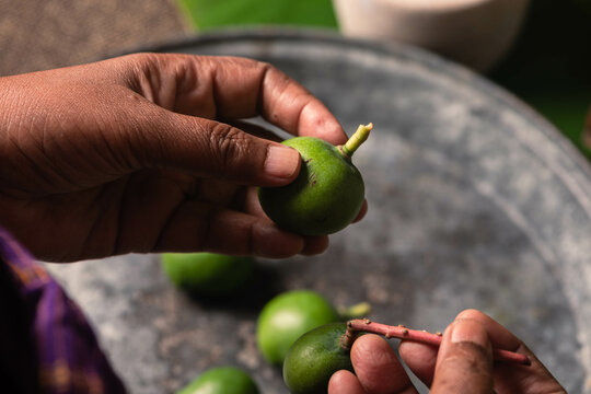 Tender Baby Mango Pickle